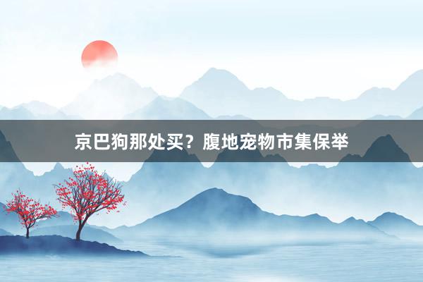 京巴狗那处买？腹地宠物市集保举